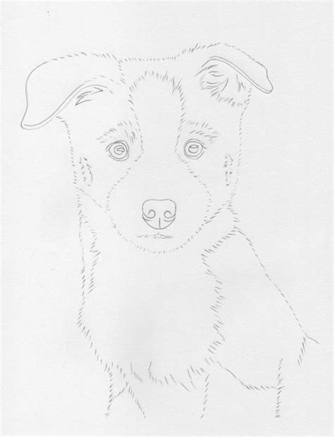 How To Draw A Border Collie Puppy Using Pastel Pencils — The Colin