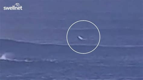 Surfer Bitten By Shark At Popular Break Arrives In Hospital 7news