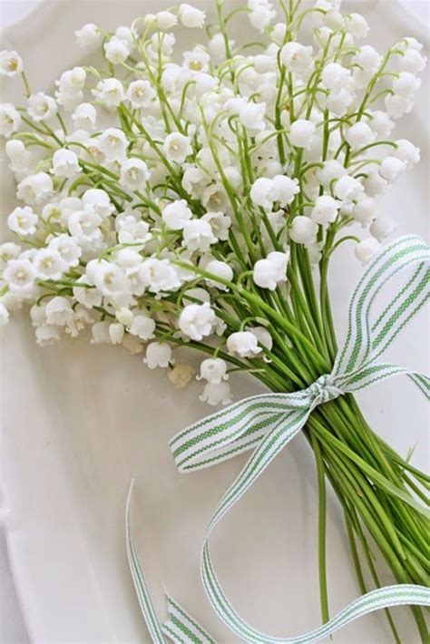 Pourquoi Offre T On Du Muguet Au 1er Mai Bouquet De Muguet Muguet