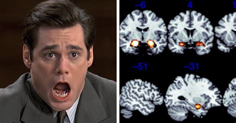 Why People Tell Lies - ATTN: