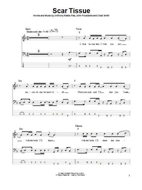 Scar Tissue By Red Hot Chili Peppers Bass Tab Guitar Instructor
