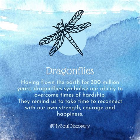 spirit animal dragonfly dragonfly quotes dragonfly meaning