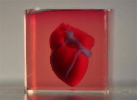 Researchers Create D Printed Heart Using Patients Own Cells Sci News