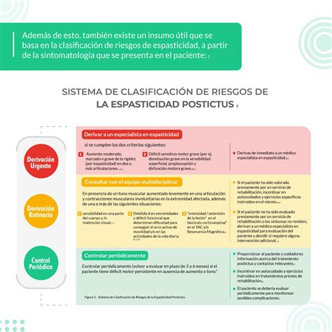 Evaluaci N Cl Nica De La Espasticidad Conozca Varias Claves