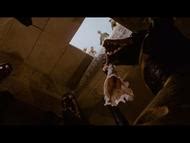 Naked Karen Allen In Indiana Jones And The Raiders Of The Lost Ark