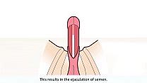 HOW TO MAKE A REALISTIC AND HOT PUSSY FROM AVAILABLE MATERIALS Version 3 DIY SEX TOY XVIDEOS