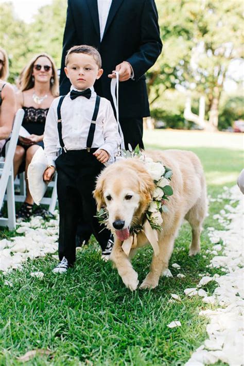 Cómo incluir a tus mascotas en la boda