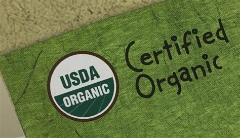 C Mo Obtener La Certificaci N Org Nica Para Productos Agr Colas