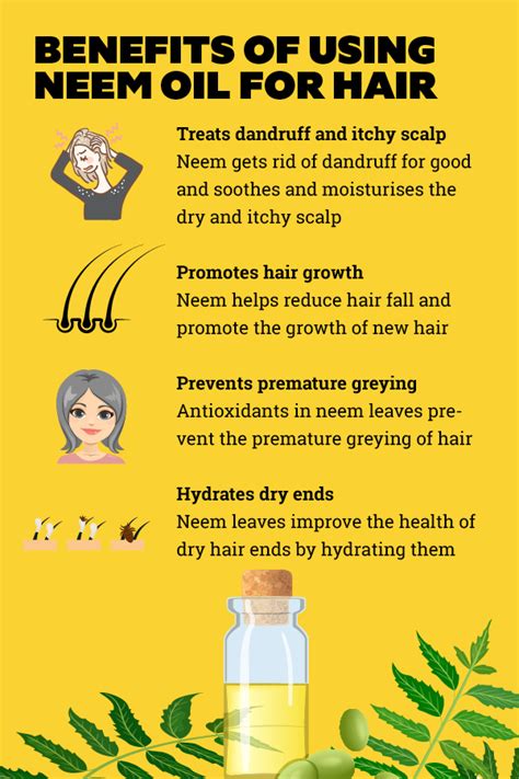 Amazing Benefits Of Neem Leaves For Your Skin And Hair