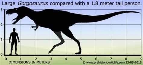 gorgosaurus size