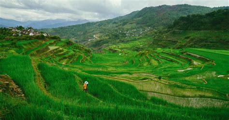 14 Best Hotels In Bontoc Kayak