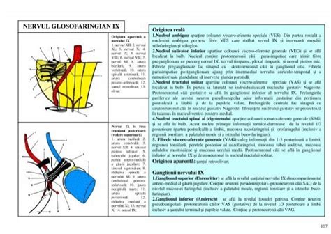 Sectiunea 18 Nervul Glosofaringian Glanda Parotida