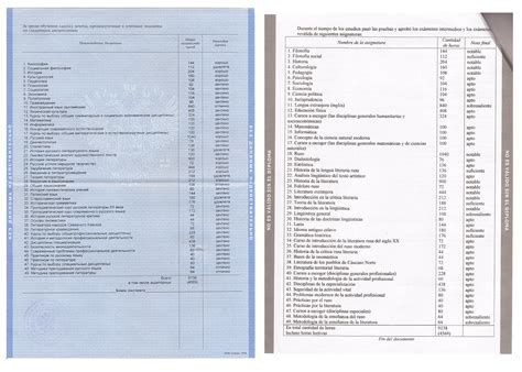 Вкладыш диплома 2 - Фрилансер Вера Луговая vera_l - Портфолио - Работа ...