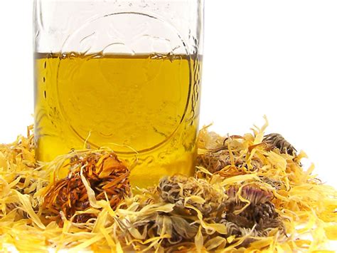 Масляный инфуз холодным способом