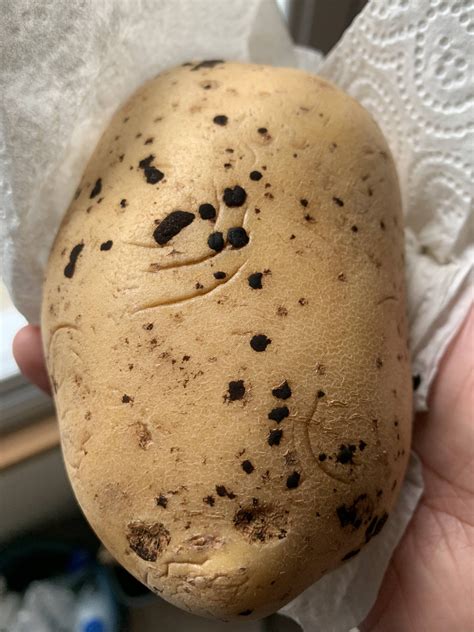 Black Spots On Russet Potatoes at Carla Apgar blog