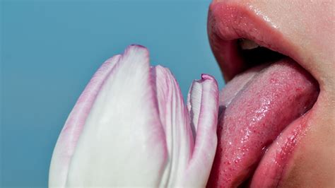 Tasty Oral Sex Positions To Go Downtown In Style