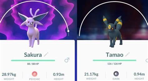 Cómo conseguir a umbreon en Pokemon Go