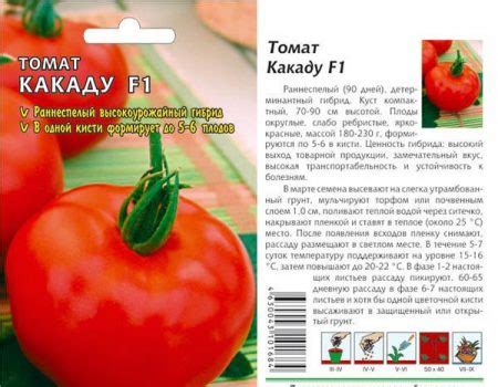 Томат Какаду: характеристика и описание сорта, отзывы, фото, урожайность