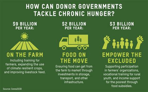 7 Solutions For World Hunger Borgen