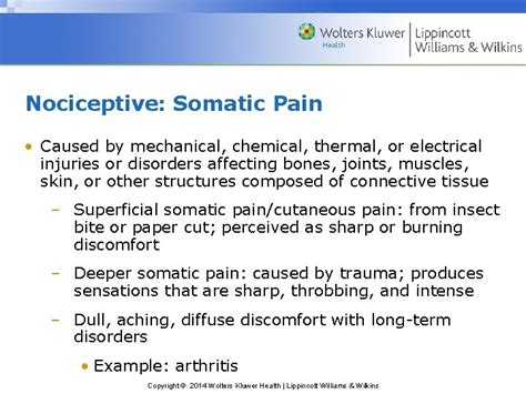 Timbysmith Introductory Medicalsurgical Nursing 11e Chapter 11 Pain