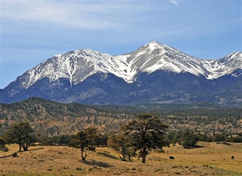 Mount Shavano Mountain Field Guide