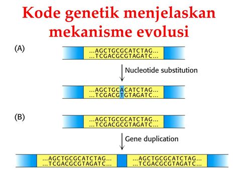 Ppt Evolusi Biokimia Powerpoint Presentation Free Download Id 5425109