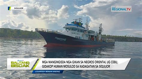 Balitang Bisdak Mga Nanagat Sa Siquijor Gikan Sa Laing Lugar Mag