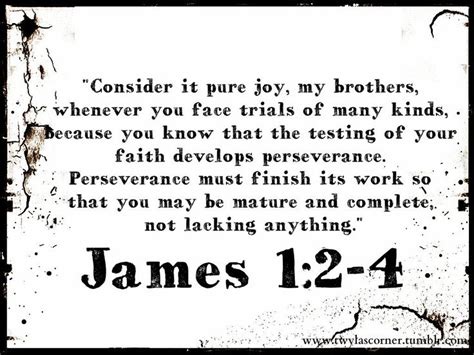 James 12 4 Dyslexic Chic Consider It Pure Joy Scripture Quotes