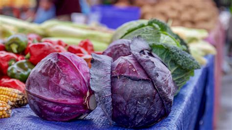 Best 8 Health Benefits Of Cabbage Mindlor