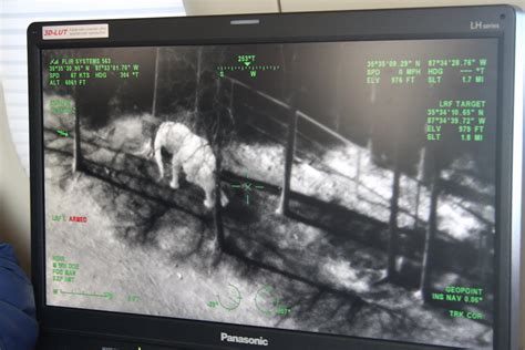 A new idea for curbing poaching in African elephant range is taking