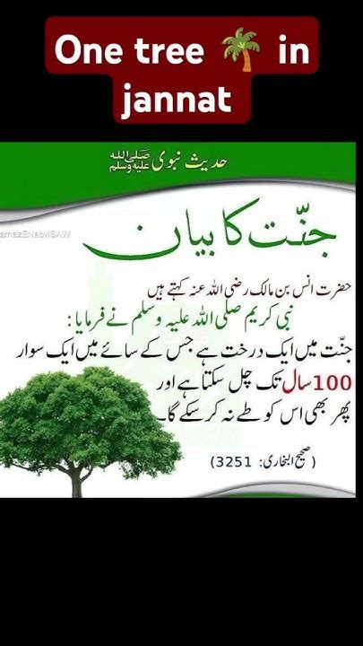 One Tree 🌴 In Jannat Allah Islamic Quran Hadees Viral Ytshorts