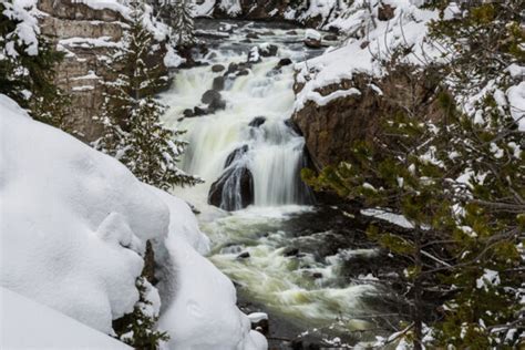 Yellowstone National Park Winter Pictures + Travel Guide - PhotoJeepers