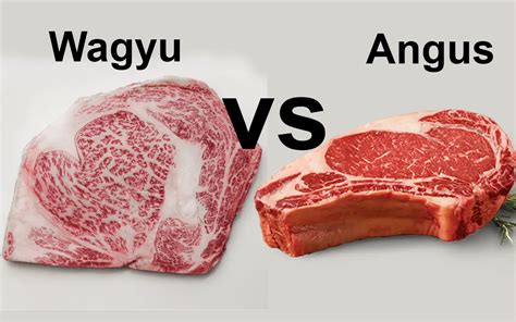 Angus Beef Vs Beef On Deals Brunofuga Adv Br