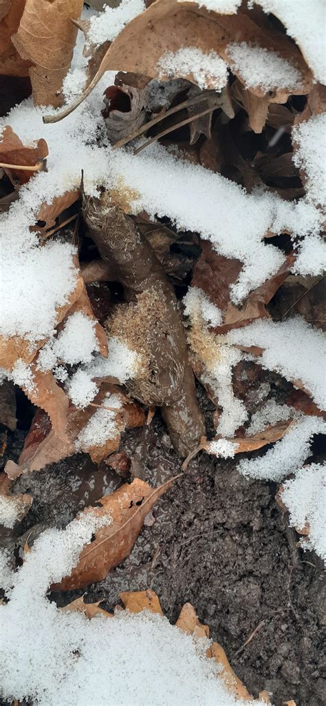 Users are debating the recent predator masters forum server move 1