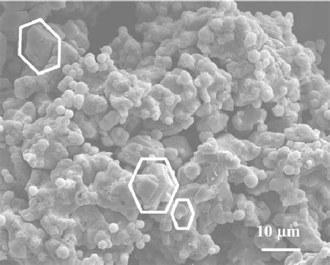 Typical Sem Image Shows The Final Product Of The Sic Microsphere