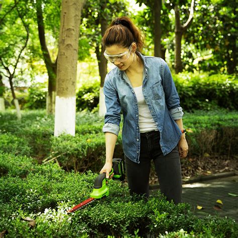 24V Shrub Shear 2-in-1 G24SHT - Buy online at Greenworks