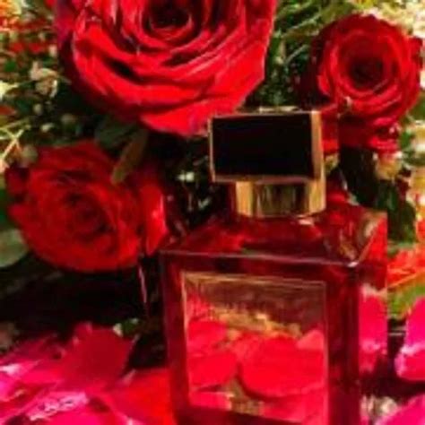 Perfume Barcrat Rouge 504 Insp. Baccarat Rouge 540 Extrait en venta en ...