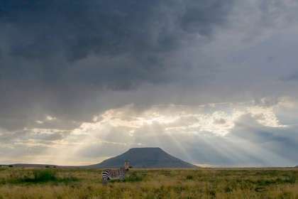 Mountain Zebra National Park Accommodation, Eastern Cape