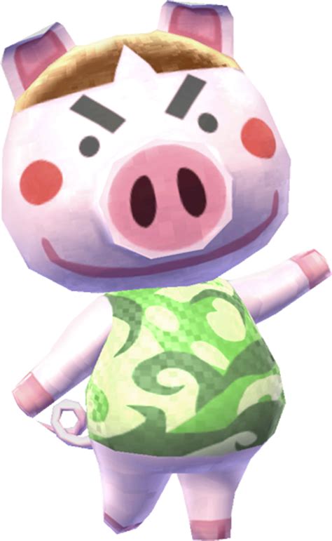 Categoryfemale Pigs Animal Crossing Wiki Fandom Powered By Wikia