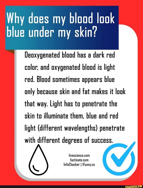 Why Does My Blood Look Blue Under My Skin Deoxygenated Blood Has A