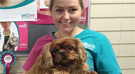 Takeaways And Alcohol Causing Pet Obesity Crisis Pdsa Warns