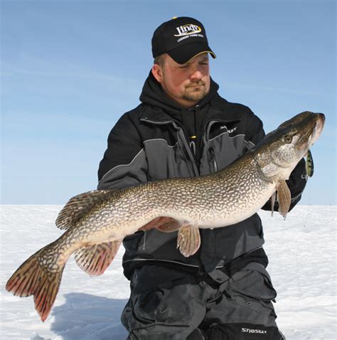 Tip Up Ice Fishing Pike In Fisherman