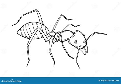 Sketch Of The Ant Stock Vector Illustration Of Drawn 39534832