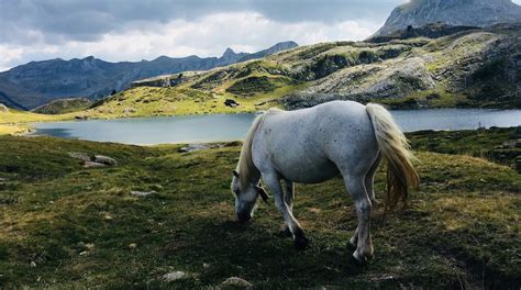 Visit Laruns: 2025 Travel Guide for Laruns, Nouvelle-Aquitaine | Expedia