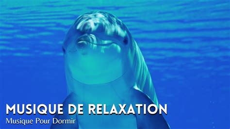 Musique De Relaxation Pour Calmer Lesprit Musique Pour Dormir