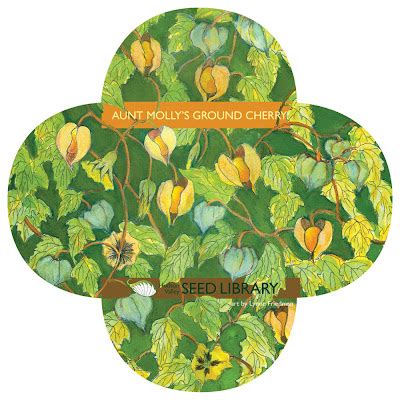 Victoria Gardens: Grow Ground Cherries