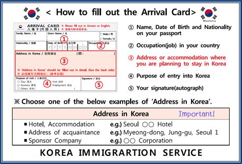 South Korea Arrival Card 2024 - Nelia Wrennie