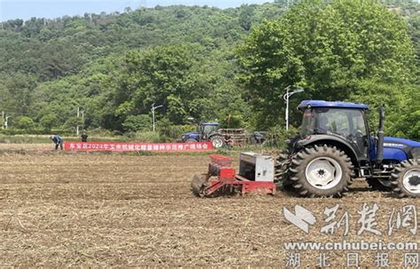 荆门市东宝区仙居乡开展玉米械化精量播种与油菜机械化分段式收割现场会 荆楚网 湖北日报网