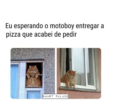 Eu Me Despedindo Dos Estranhos Que Conheci Na Festa Adeus Amigos Amos