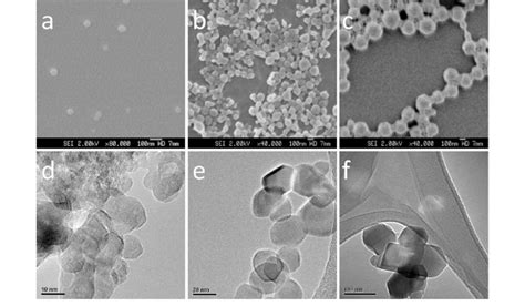 Sem Micrographs Of Three Spherical Plga Nanoparticle Samples With